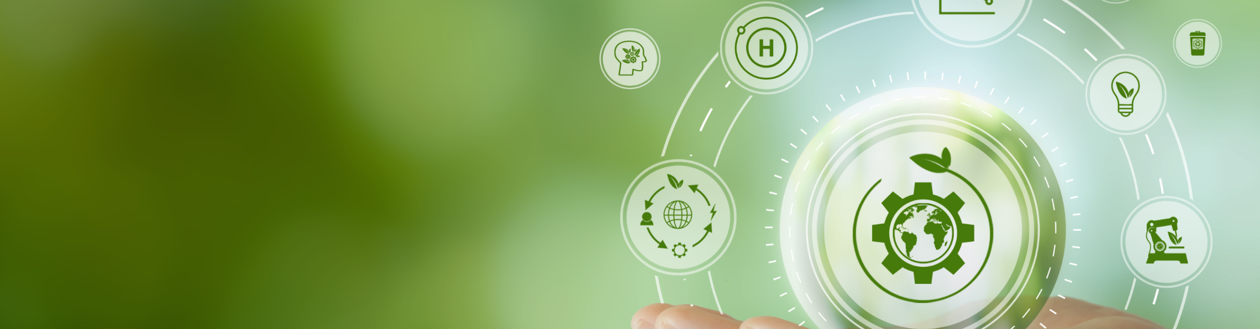 From Enterprise to Ecosystem: India’s Scope 3 Disclosure Regime Is Growing Up