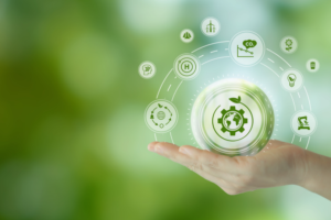 From Enterprise to Ecosystem: India’s Scope 3 Disclosure Regime Is Growing Up
