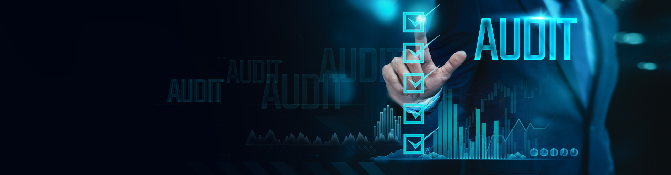 Audit Readiness Support for a Global Visual Effects and Animation Studio