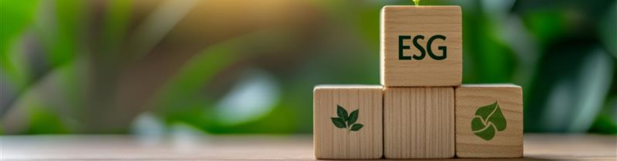 Future-Ready Sustainability Reporting (CSRD Transition)