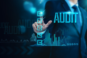 Audit Readiness Support for a Global Visual Effects and Animation Studio
