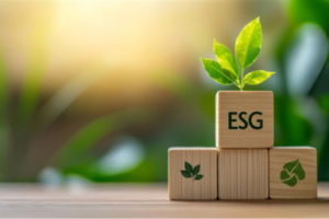 Future-Ready Sustainability Reporting (CSRD Transition)