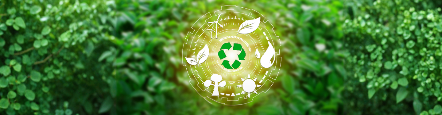Circular Economy